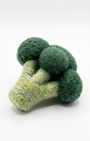 Textured green broccoli on a white background